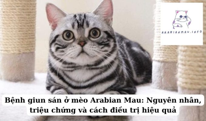 Bệnh giun sán ở mèo Arabian Mau Nguyên nhân, triệu chứng và cách điều trị hiệu quả