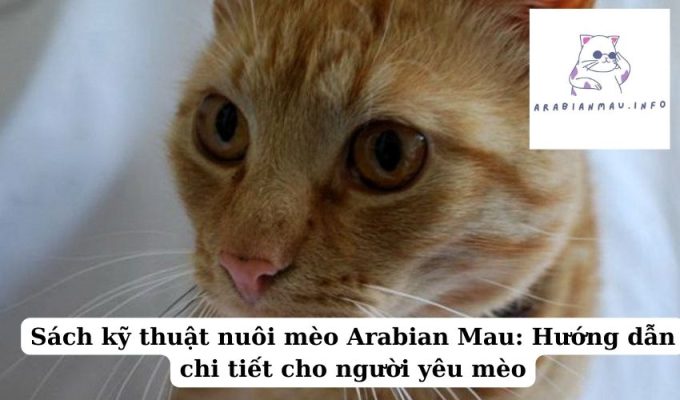 Sách kỹ thuật nuôi mèo Arabian Mau Hướng dẫn chi tiết cho người yêu mèo